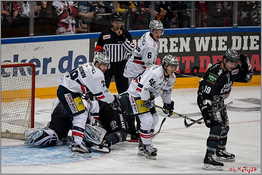 Koelner Haie - Eisbaeren Berlin, 13.11.2016